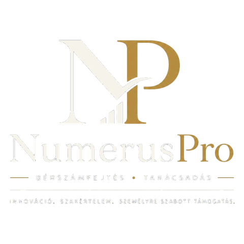 NumerusPro — Innováció. Szakértelem. Személyre szabott támogatás.